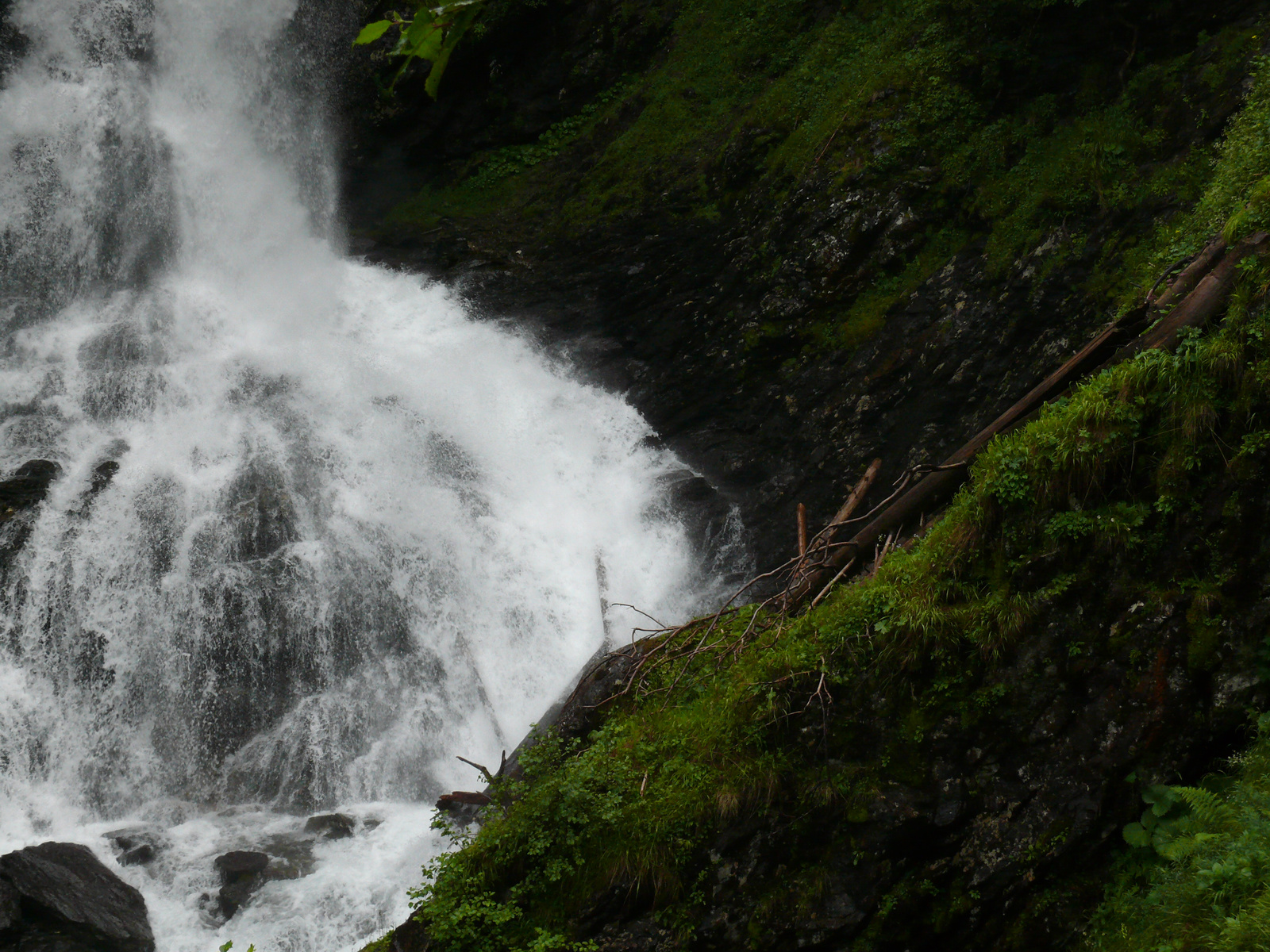 Riesach Wasserfall (12)