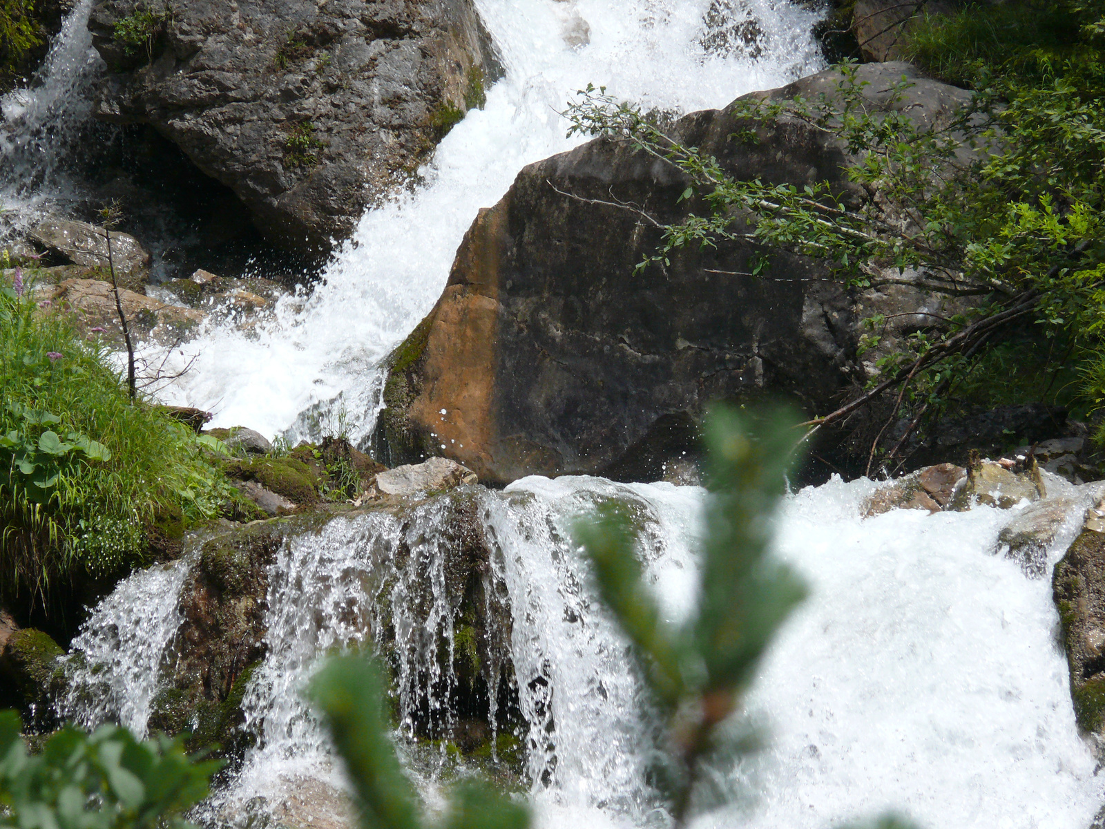 Silberkarklamm (6)