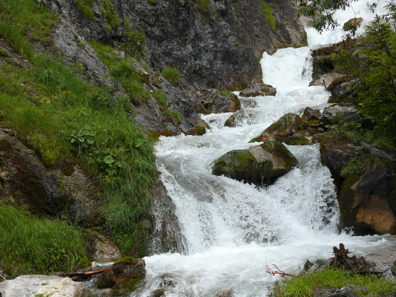 Silberkarklamm (8)