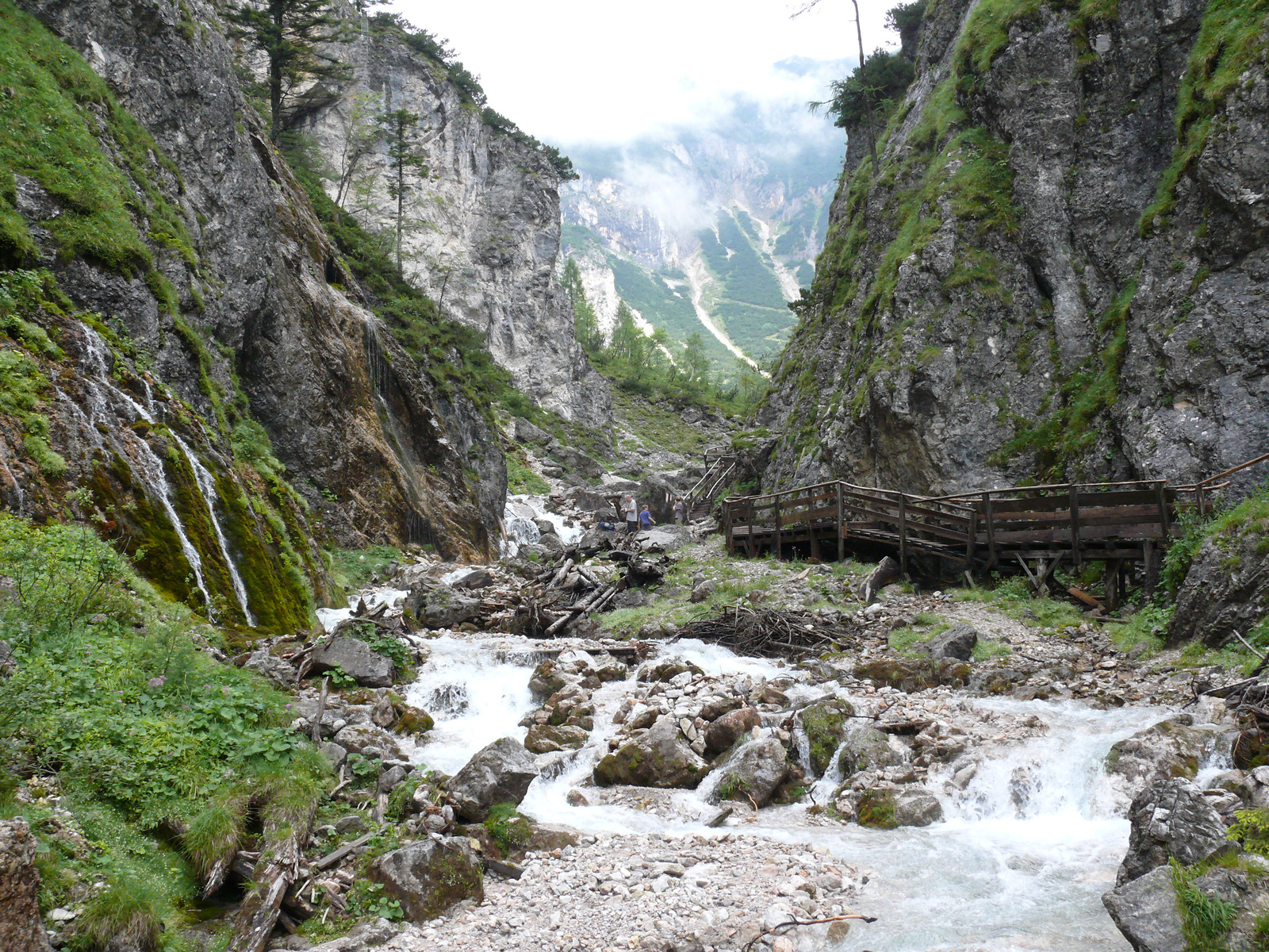 Silberkarklamm (40)