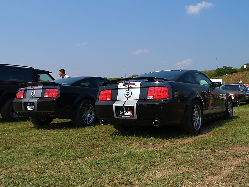 Shelby Mustang combo