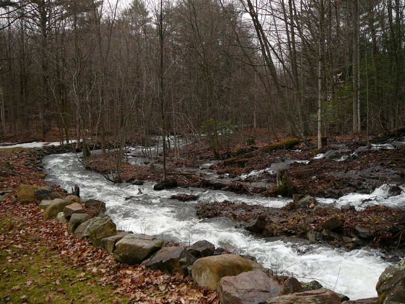 Adirondack - Sleeping Beauty