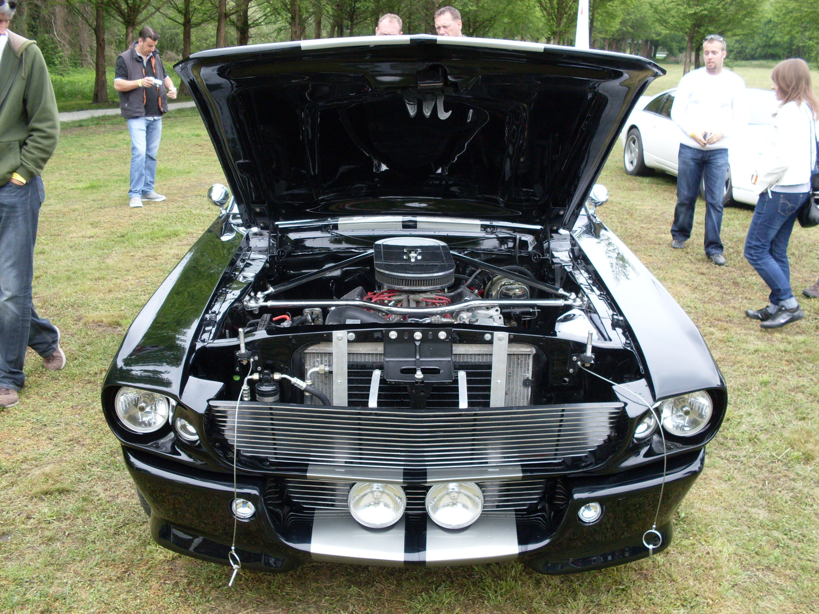 Shelby Mustang GT500