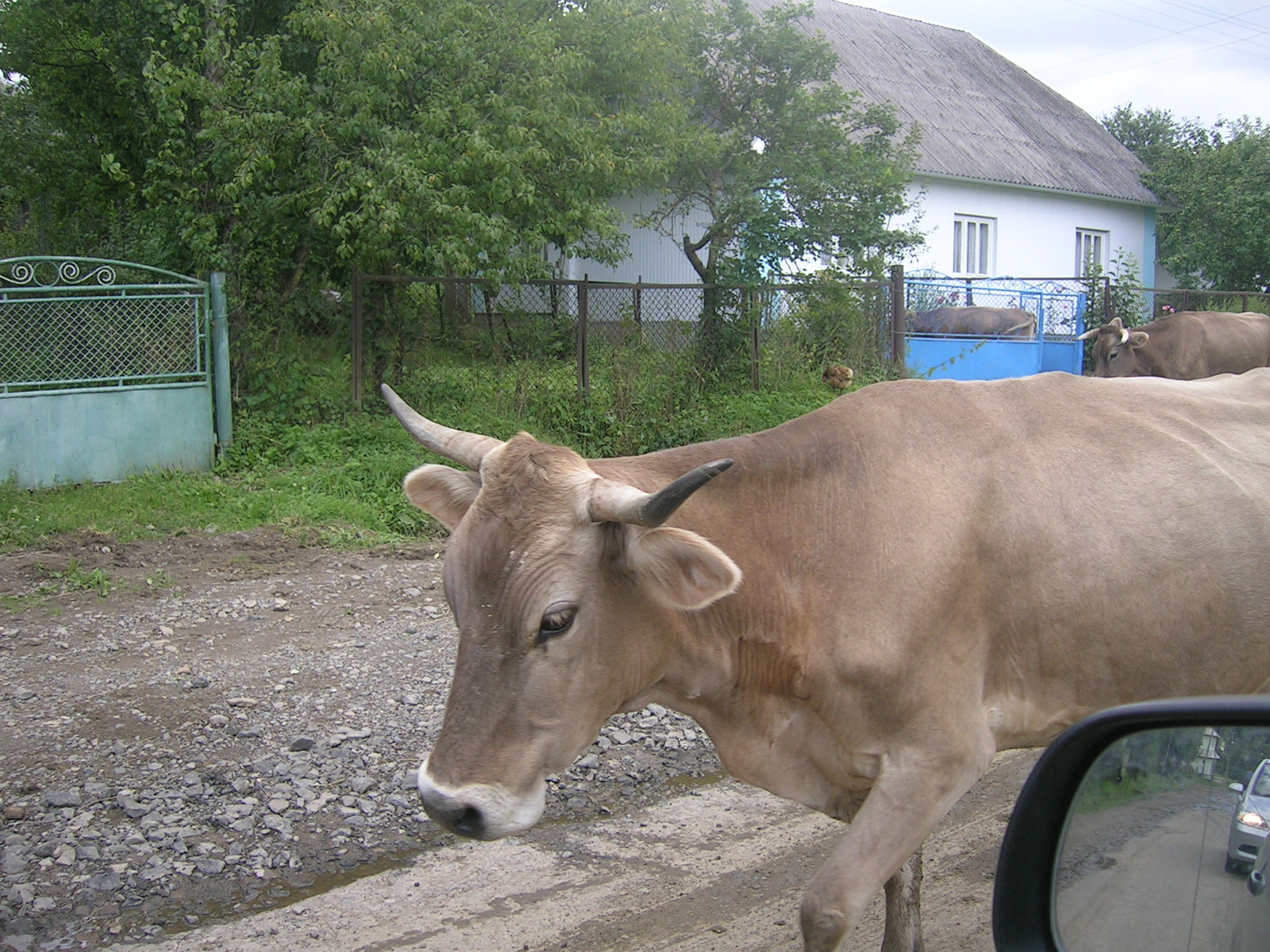 Vereckei Hágó felé 3