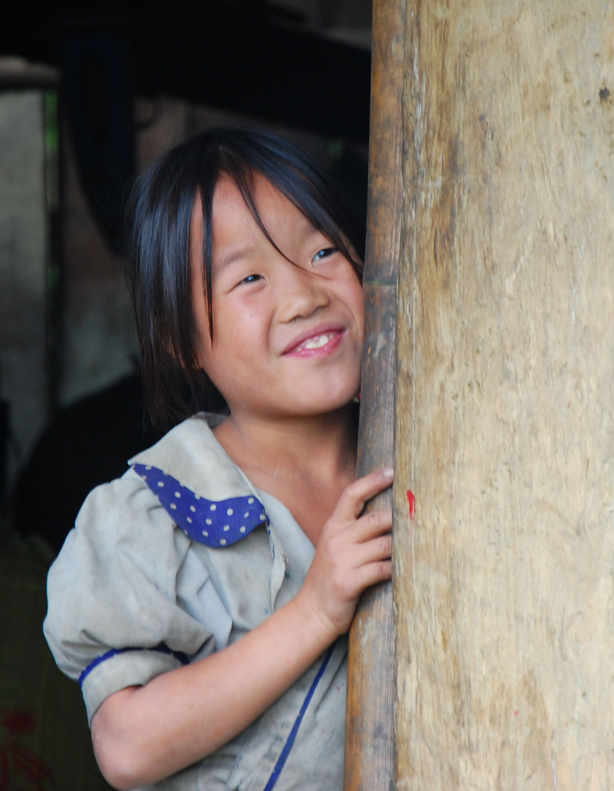 Countryside, Sapa