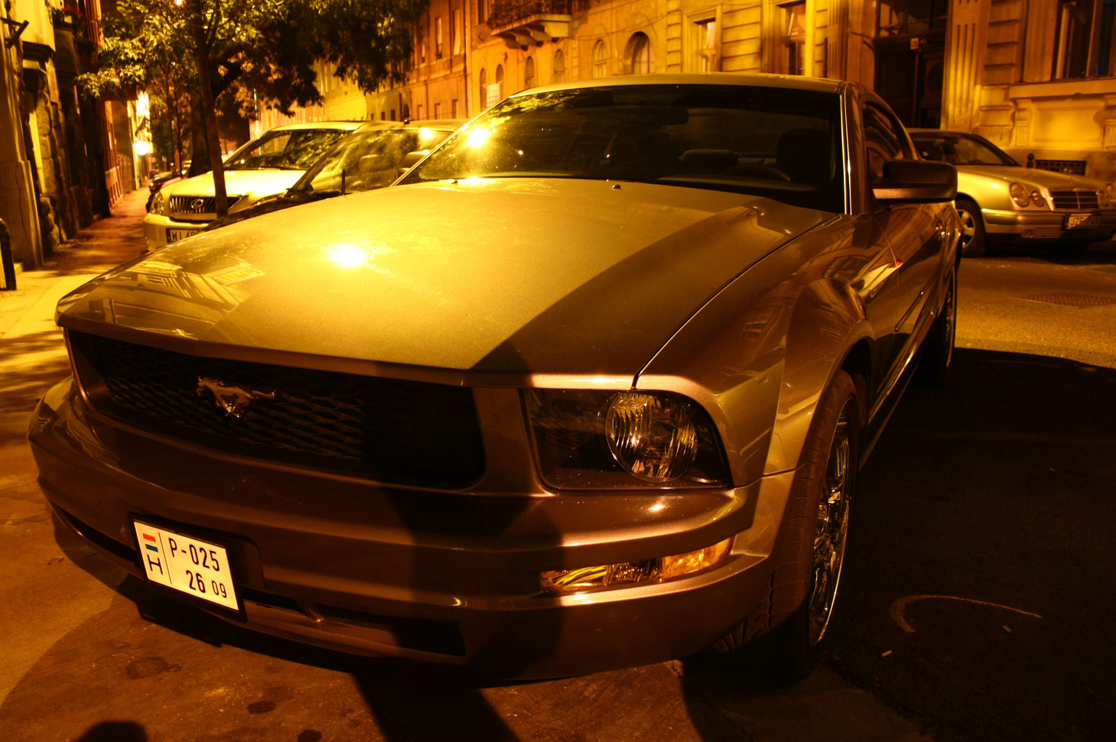 Ford Mustang 061