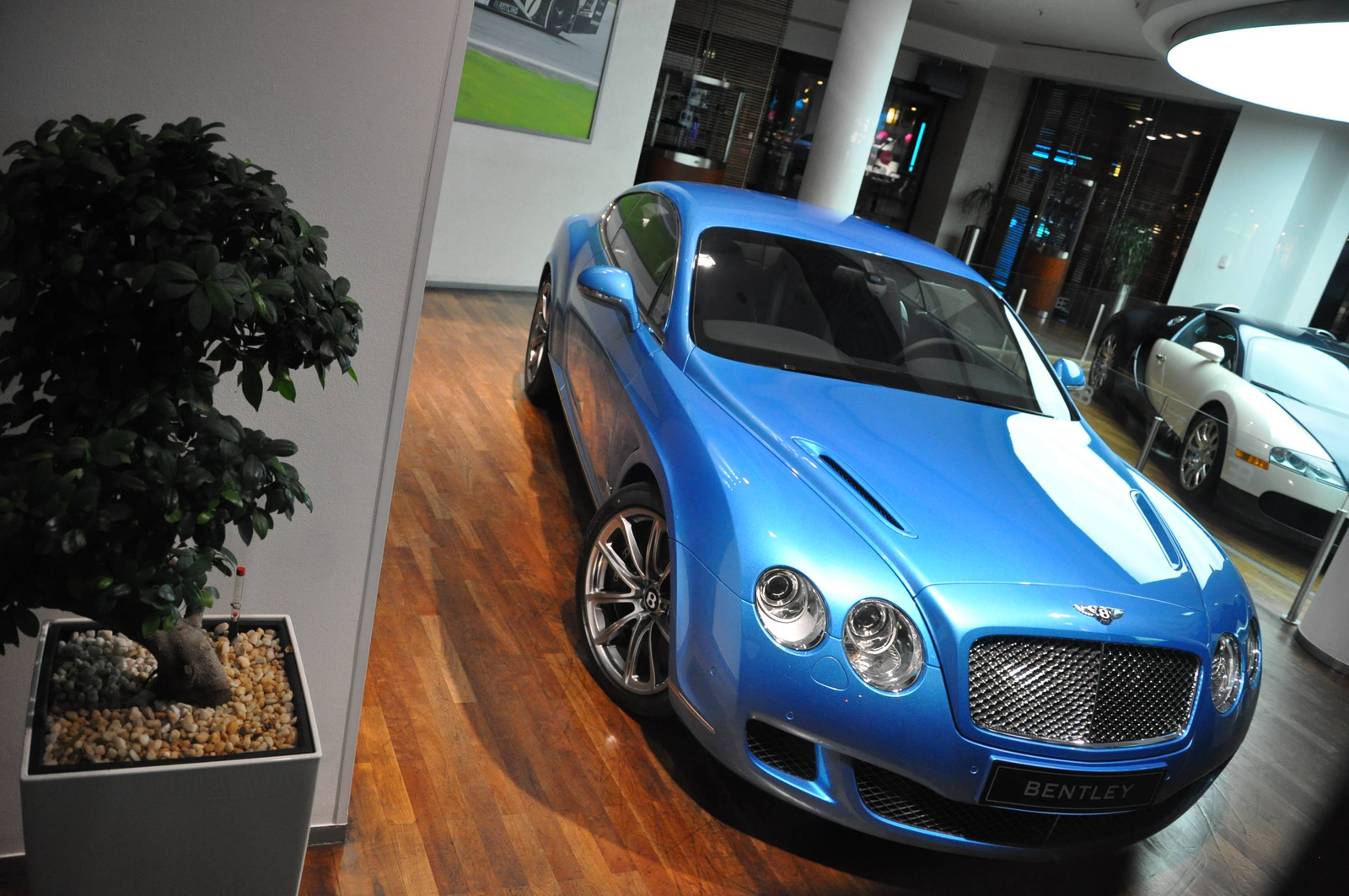 Bentley Continental GT Series 51