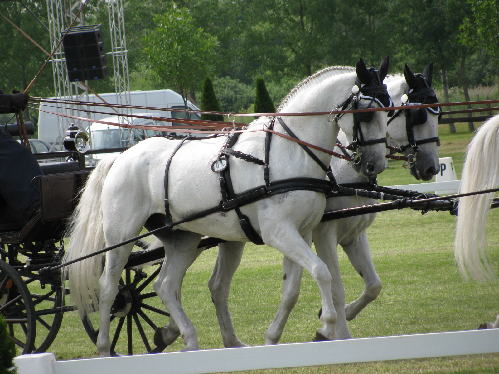 Vecséskupa2009 019