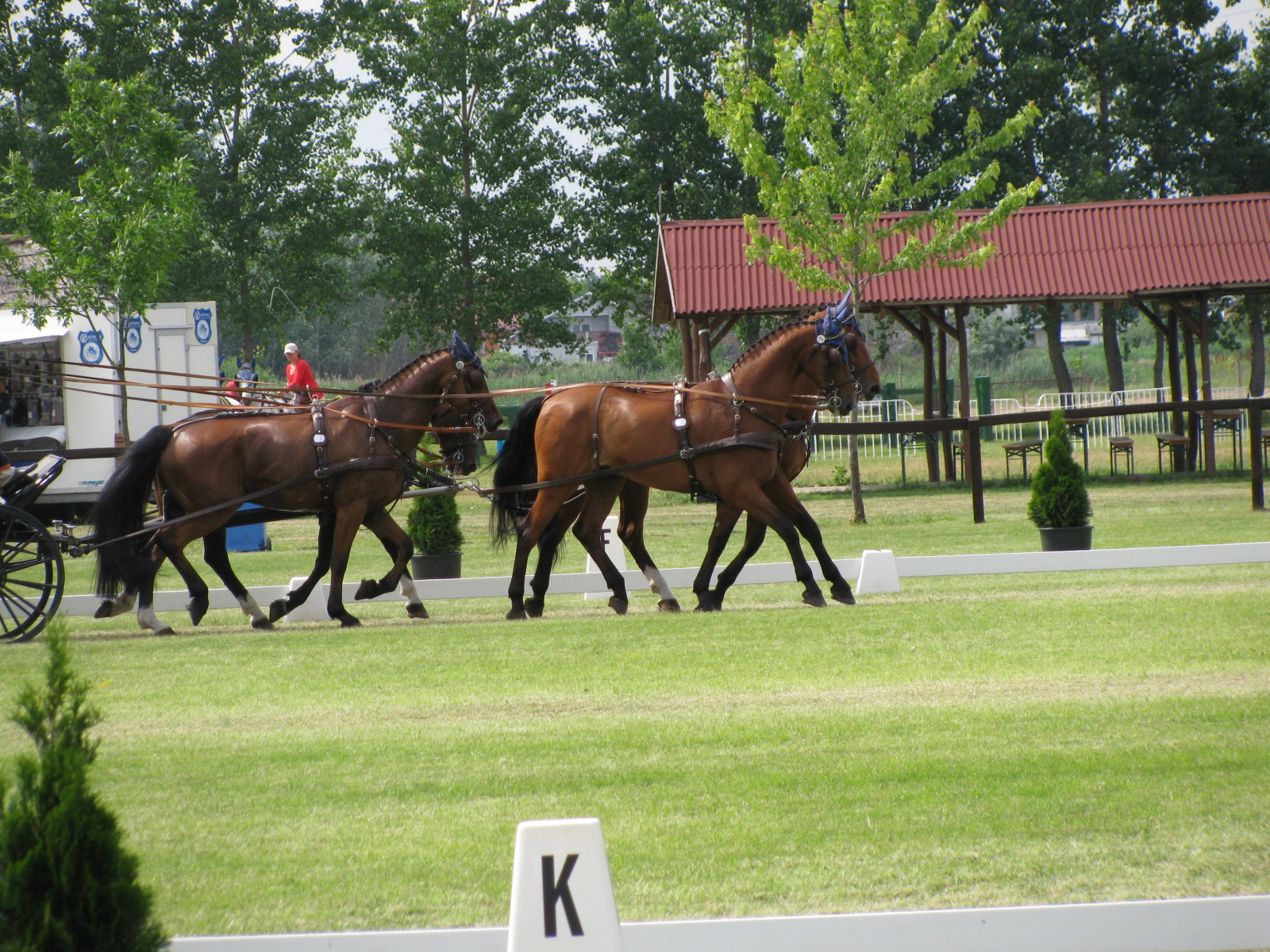 Vecséskupa2009 056