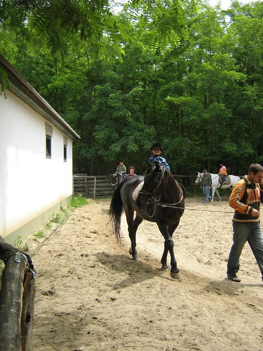 2009.06.04. Erdei óvoda Jánoshalma 169