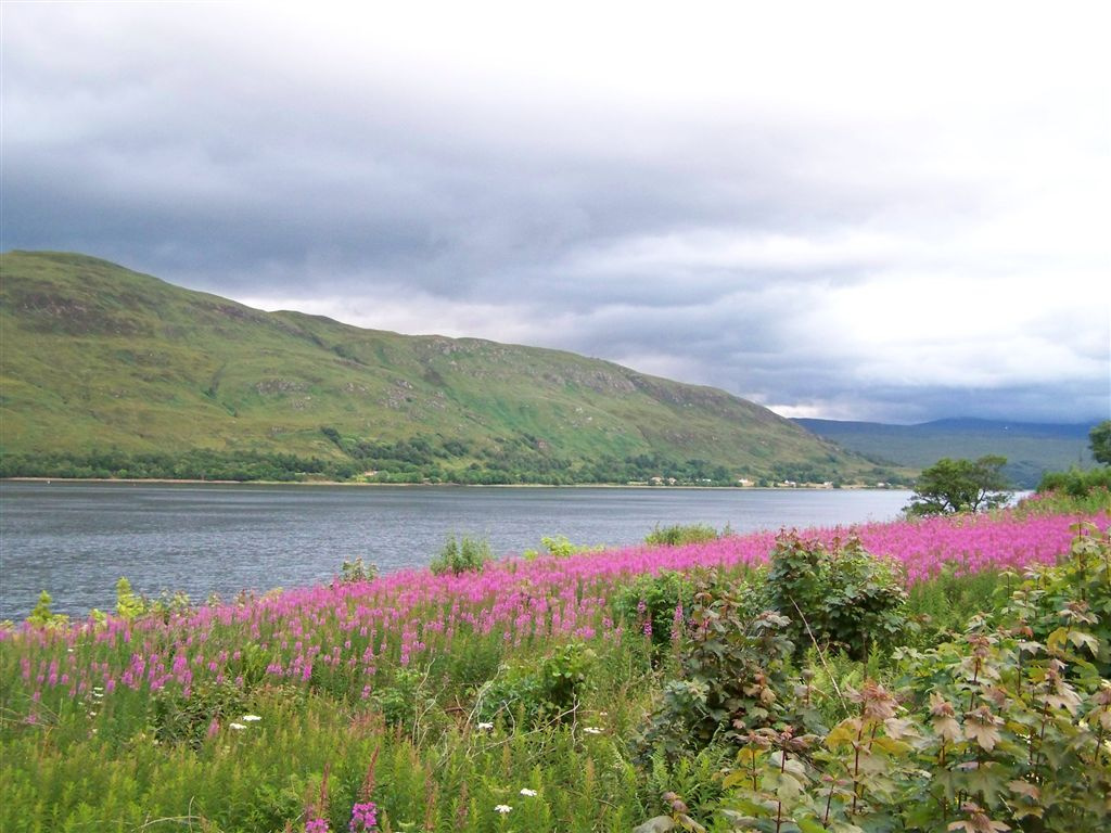 Loch Linnhe