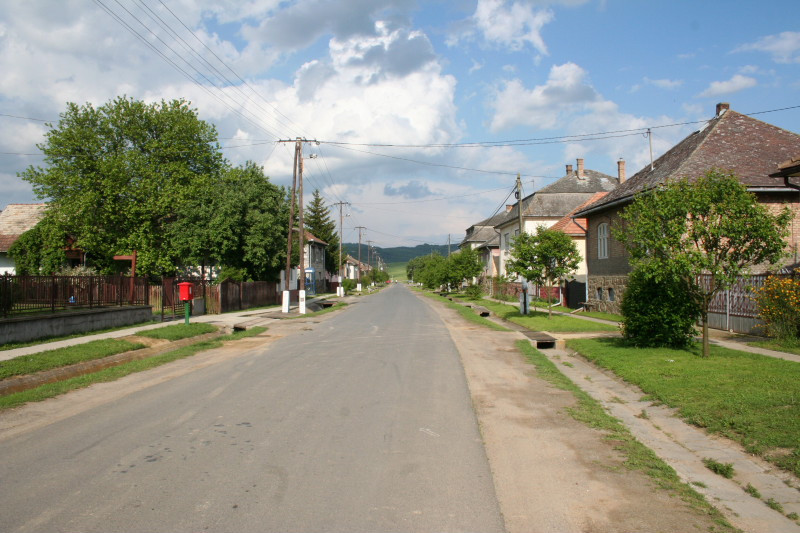 szulinap056