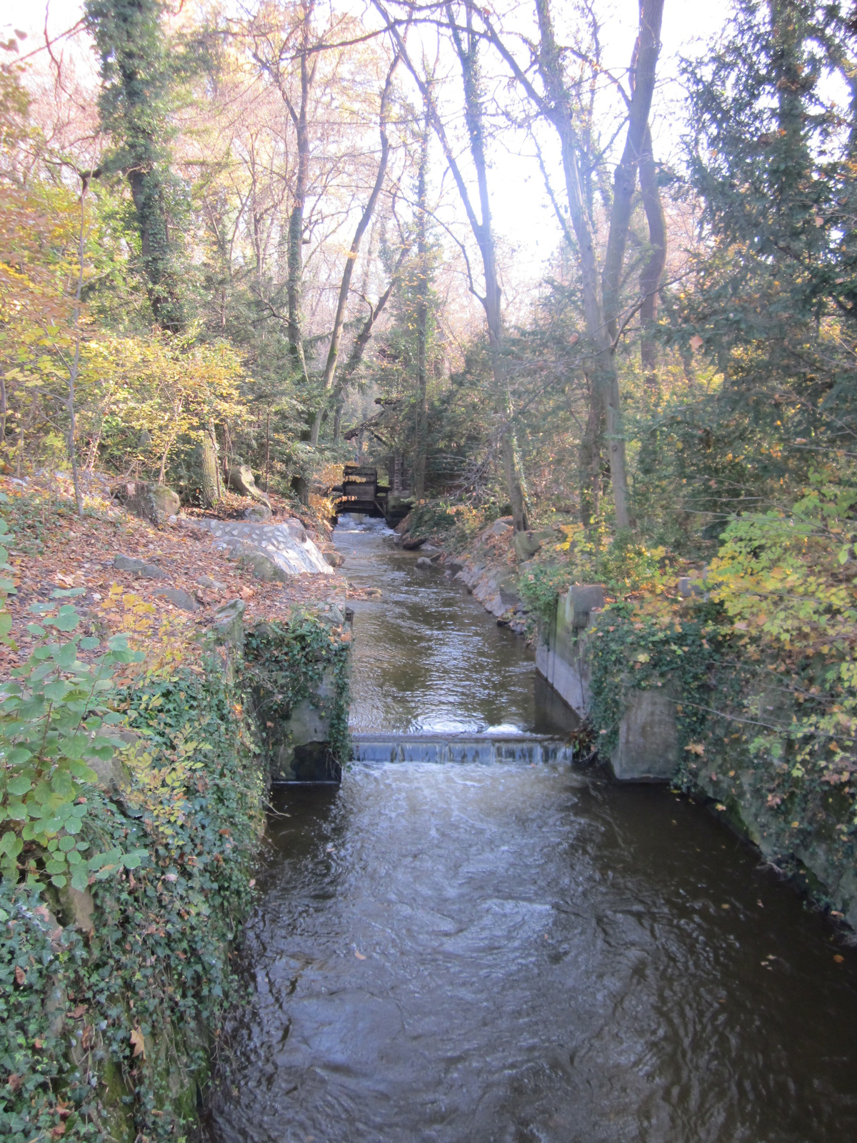 2010.10.30. Vácrátóti Botanikus Kert