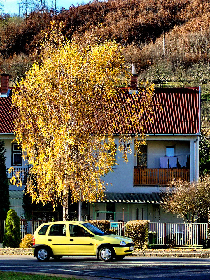 őszi színek, illik hozzá