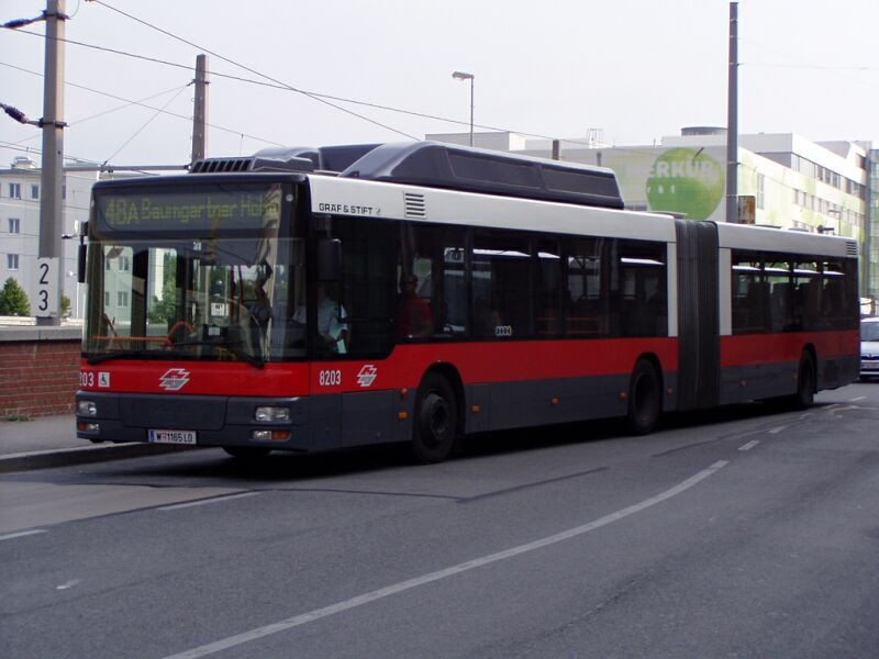 busz (11)