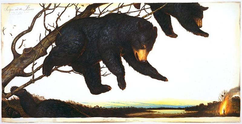 bears (Medium)