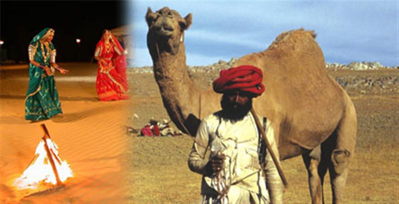 camel Festval (Medium)