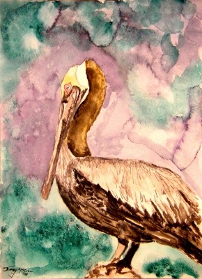 pelican bird