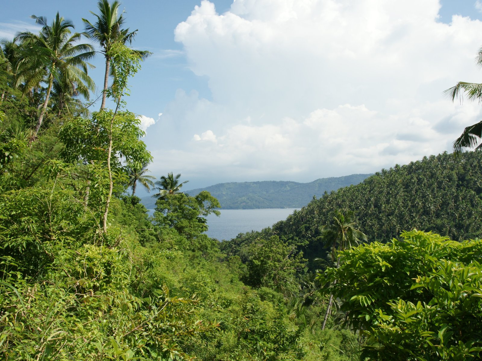 ocean-view-coco-palms-dsc04684-wp