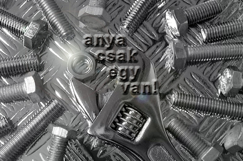 AnyaCsak1van