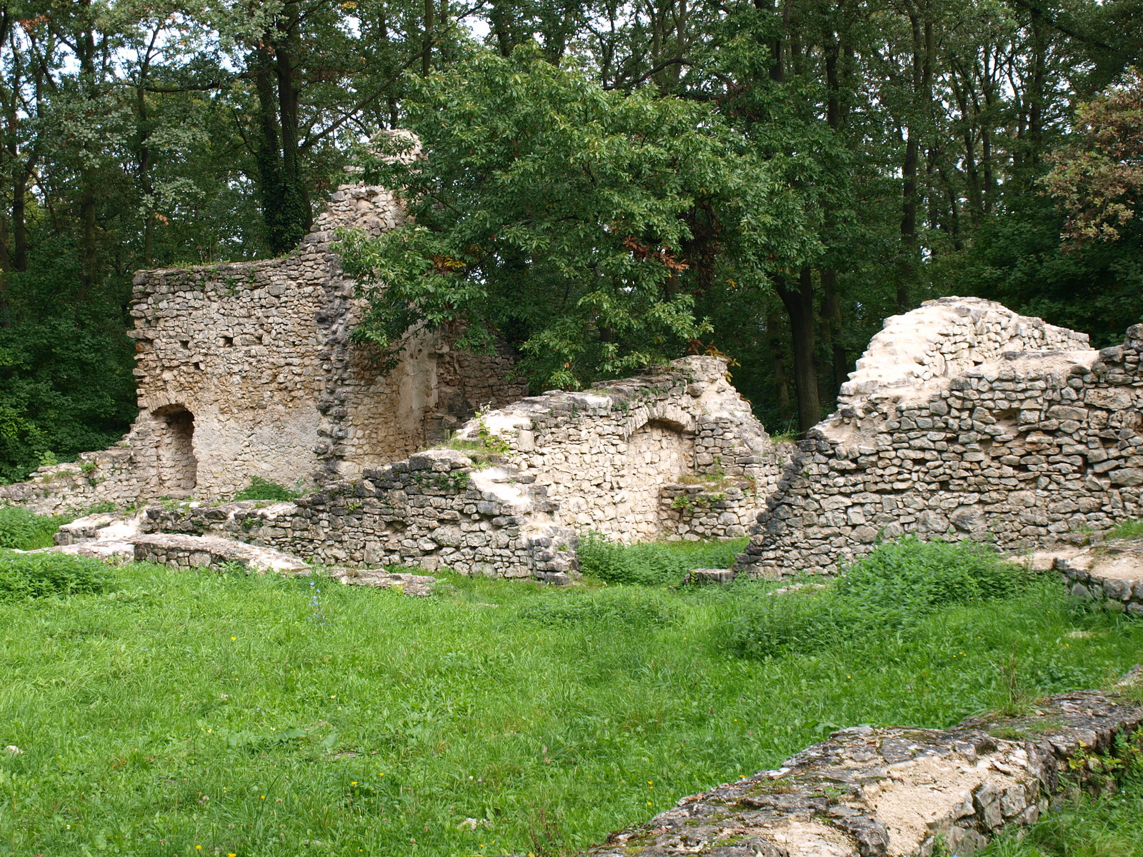 Nagyvázsony, pálos kolostor romja 04