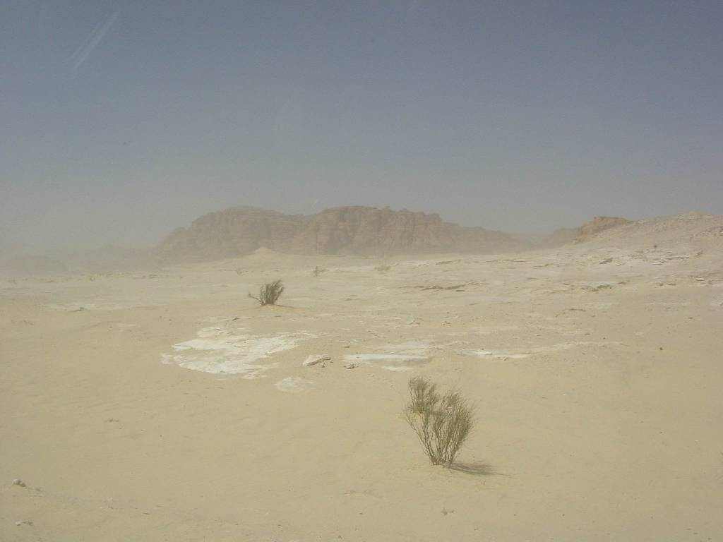 4898M-SandStorm