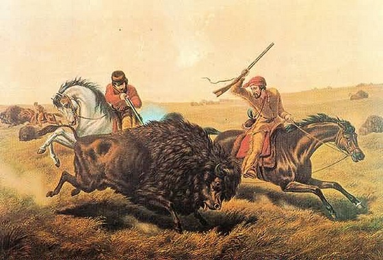 The Buffalo Hunt