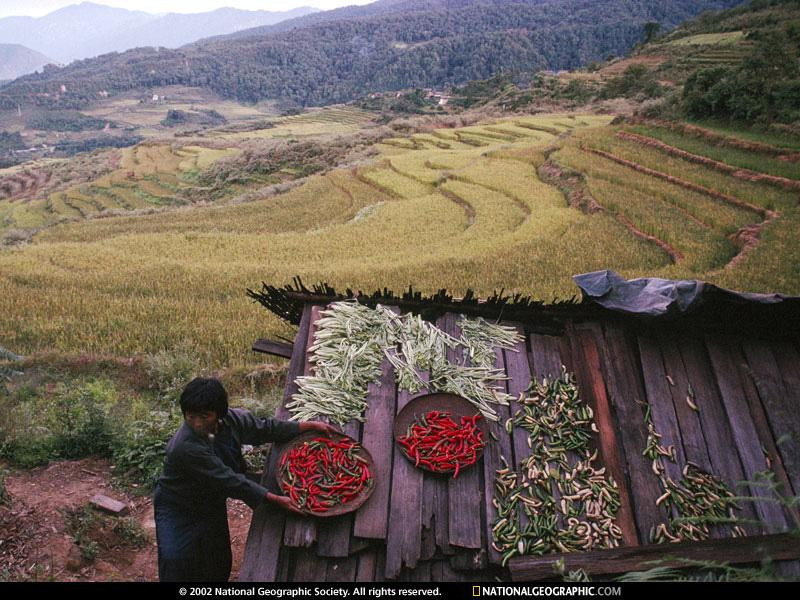 bhutanese-farmer-21014-sw (Medium)