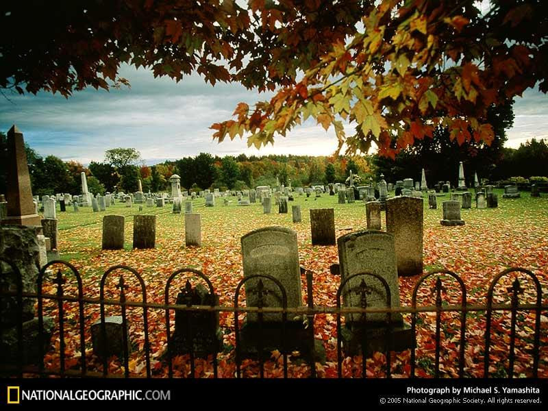 fall-graveyard-523325-sw (Medium)