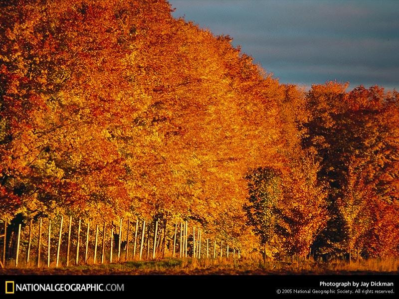 fox-river-autumn-514400-sw (Medium)