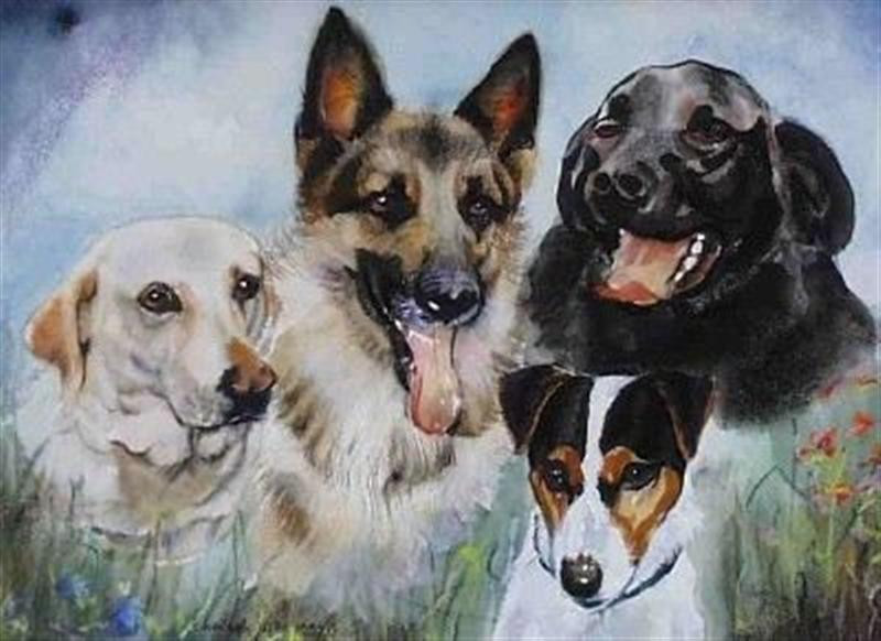 4 Dogs - watercolor (Medium)