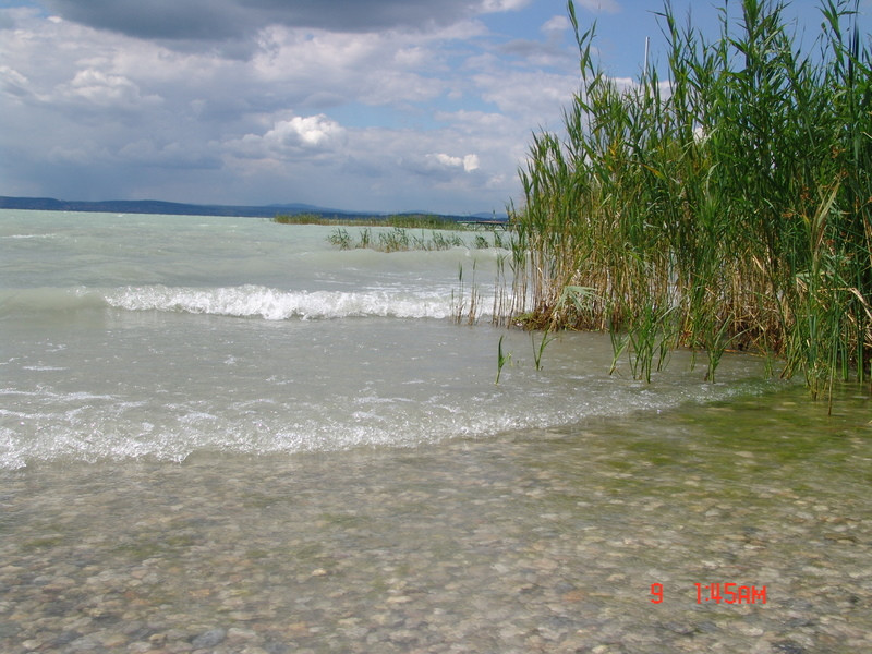 balaton2008 091