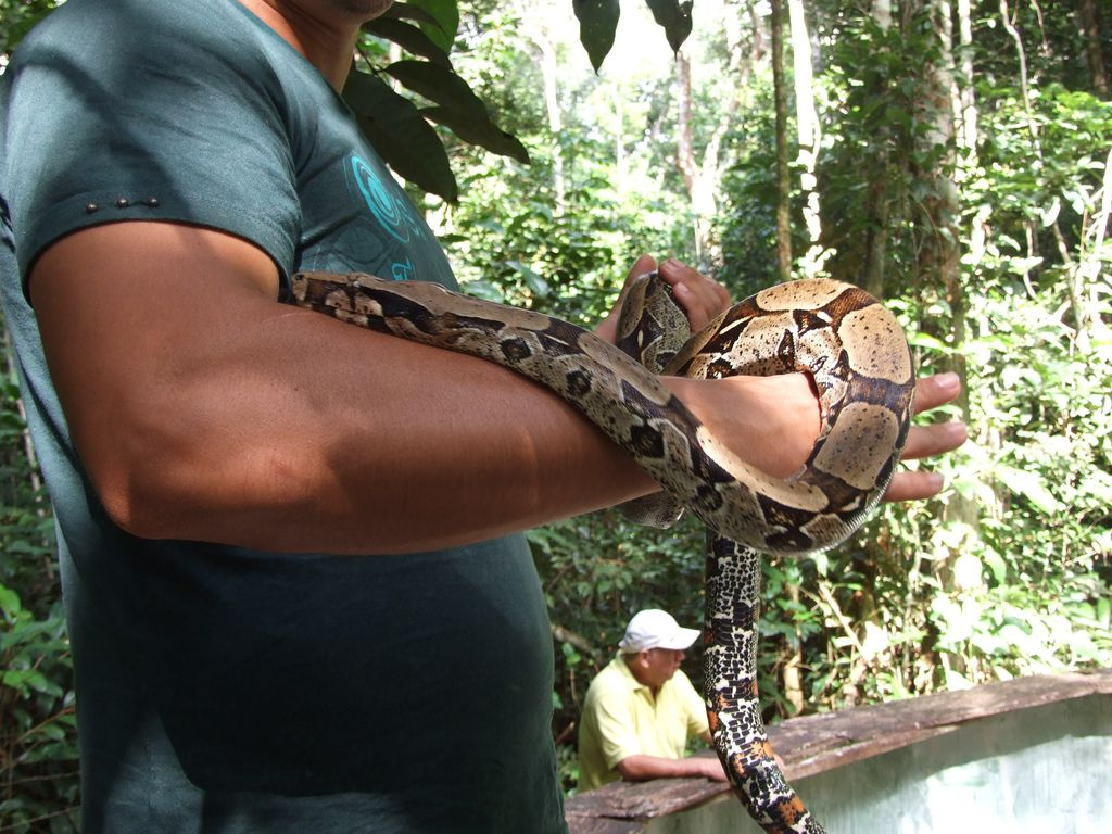 brazília 2009-2 393