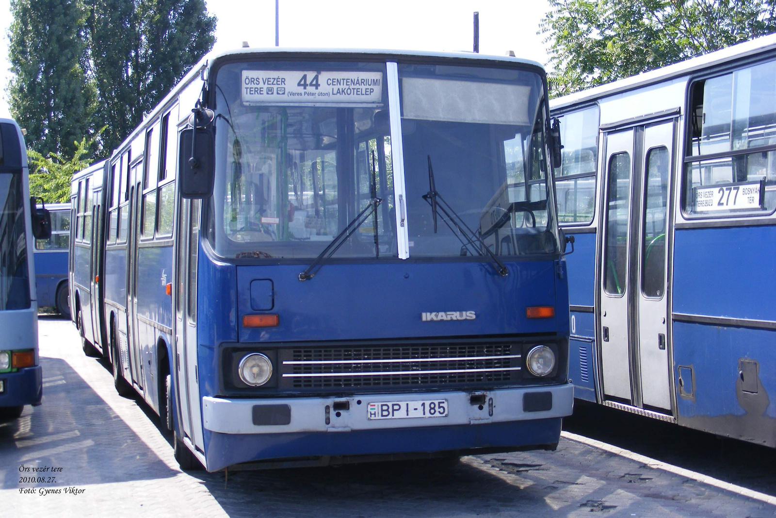 Busz BPI-185