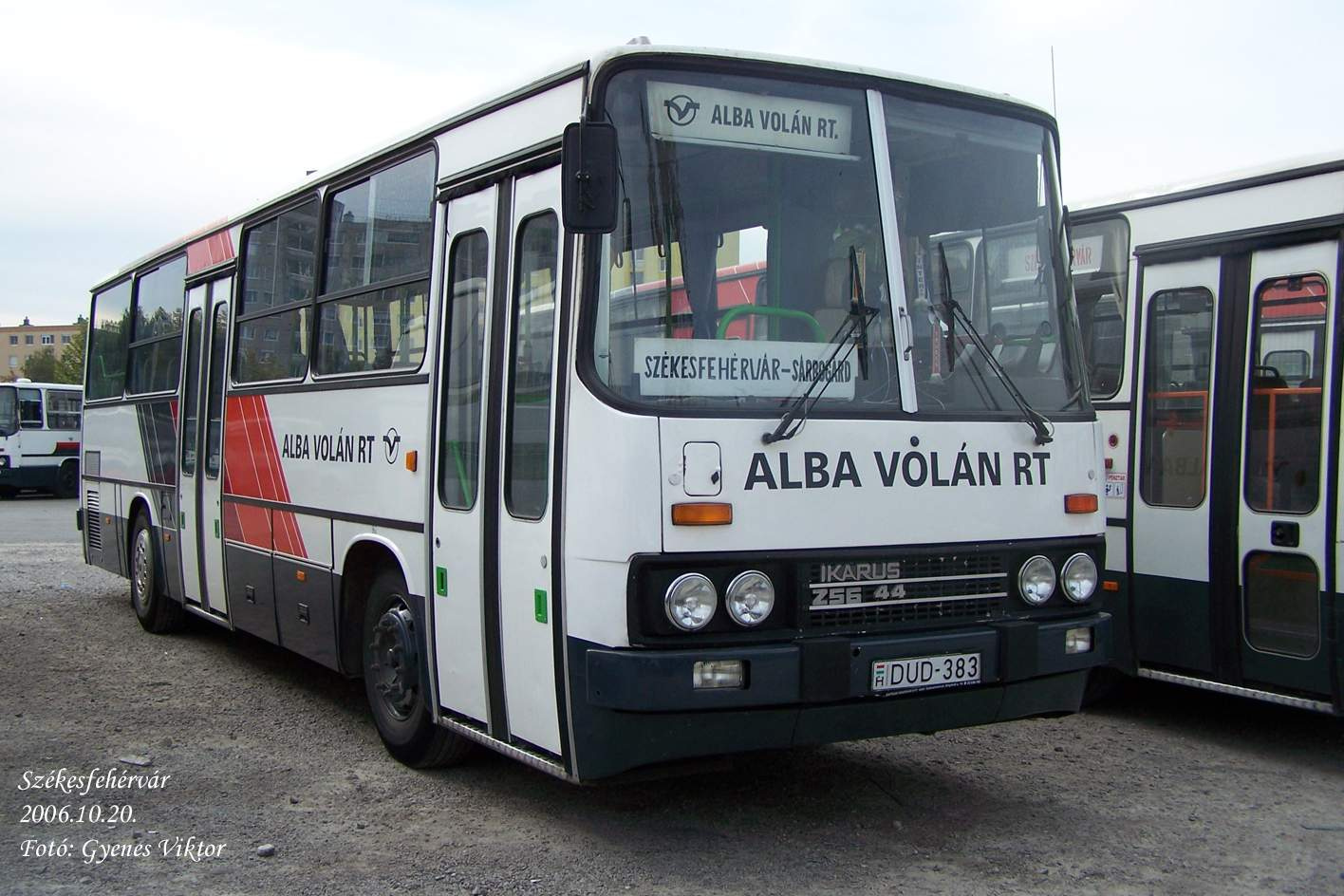 Ikarus 256-44-DUD-383 2