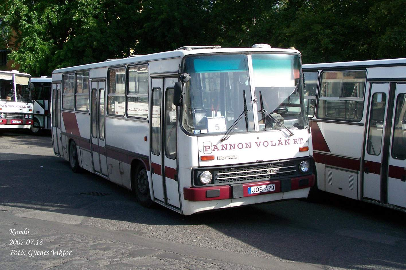 Ikarus 260-JOB-429