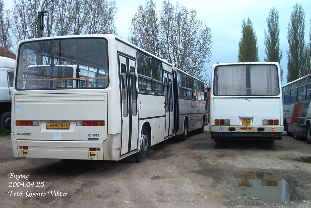 Ikarus Classic C80-HHR-845