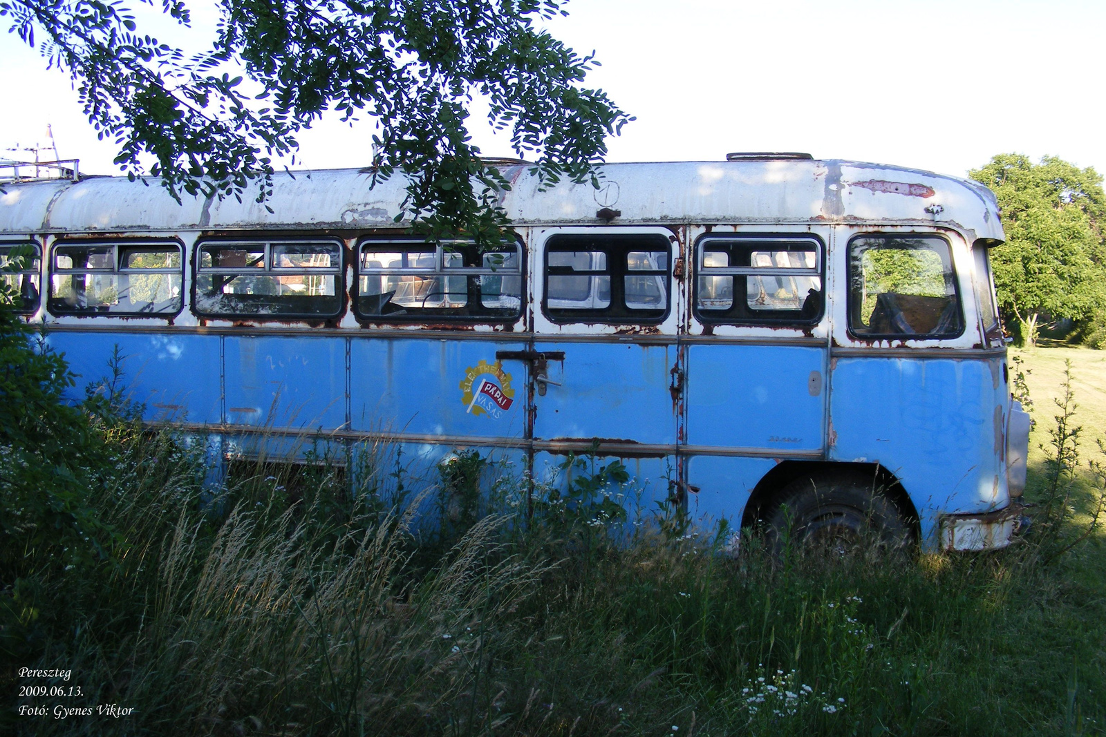 Ikarus 31 roncs1