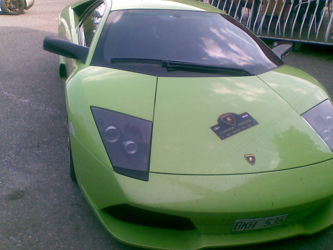 Murcielago