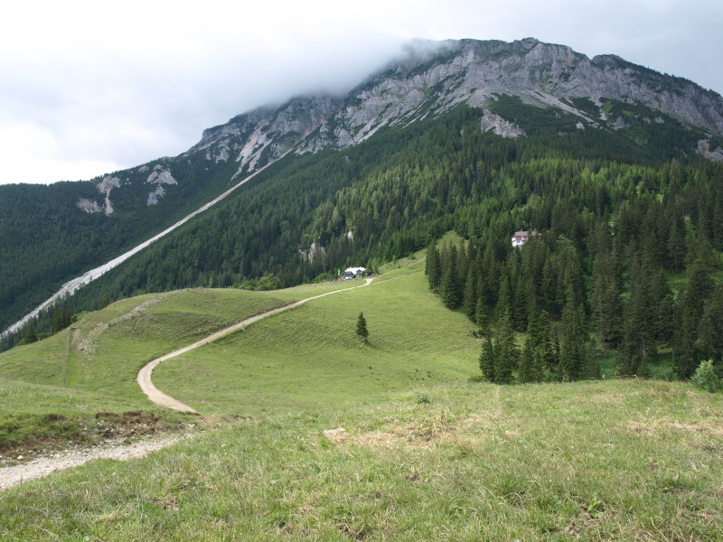 schneebergi csendélet bocikkal