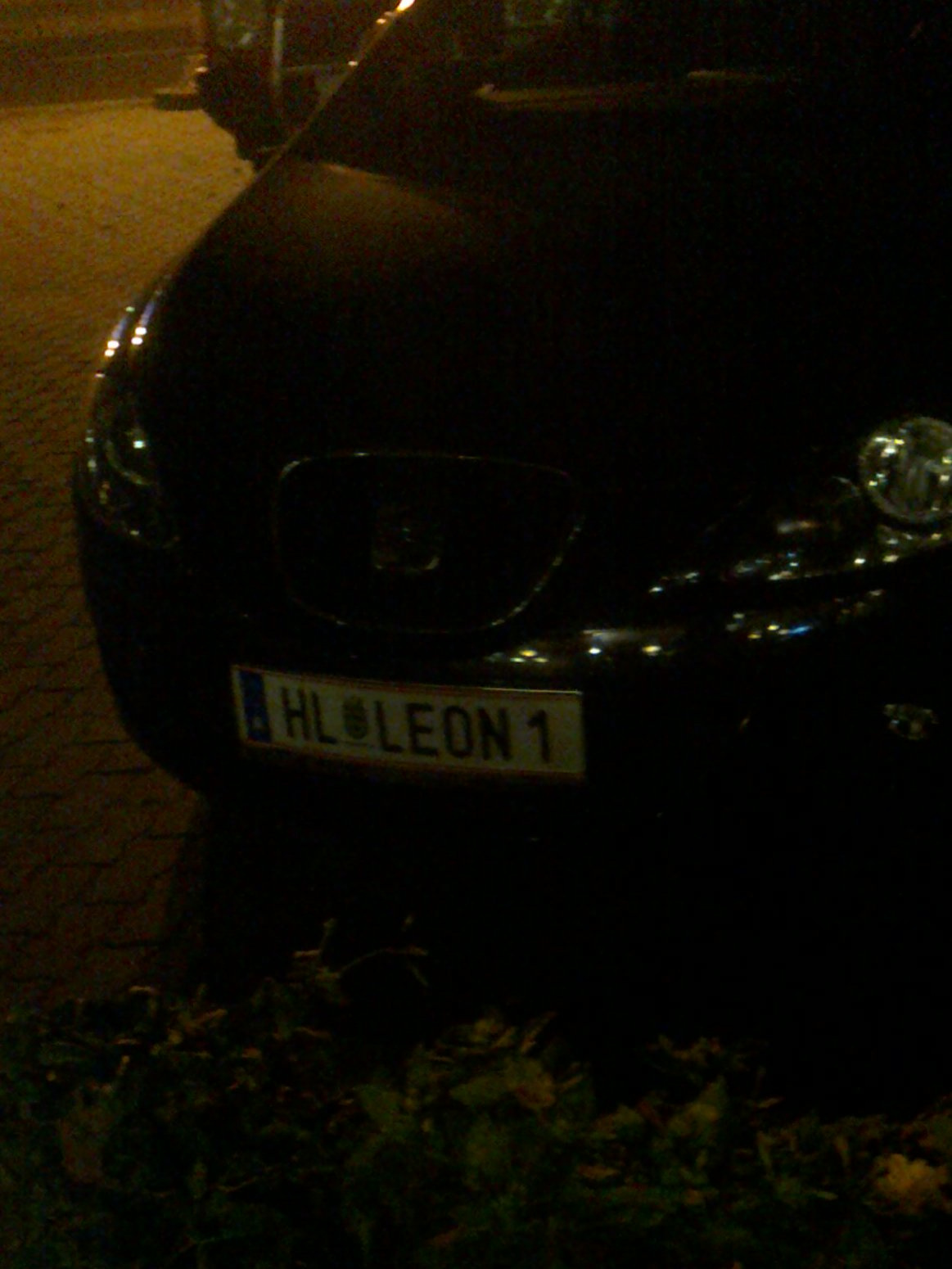 Hl leon 1