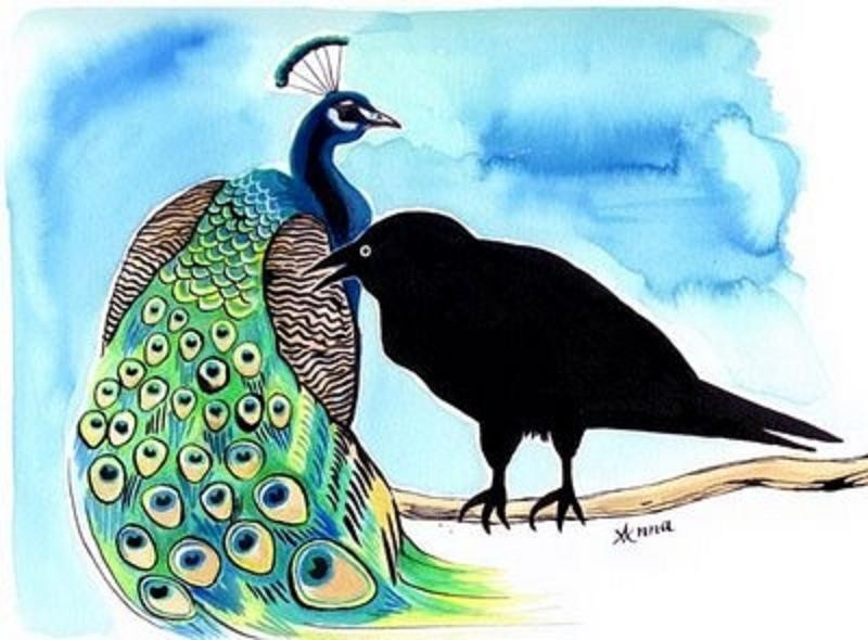 Crow and peacock