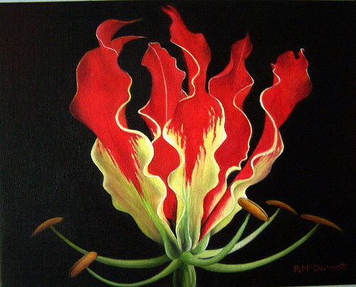 Fire lily