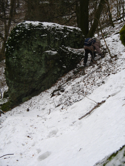 Thirring Krt.-Szentkereszt szurdok ösv. 014